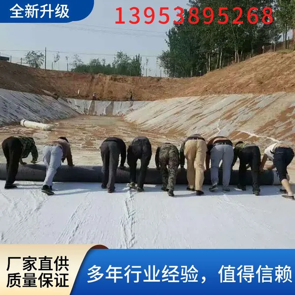 Waterproof Earthwork Geosynthetic Clay Liner Bentonite Swelling Waterproof Membrane Bentonite Geotextile Cover for Landfills photo-2