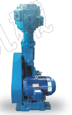 WL & WLW Series Vertical Oil-Free Reciprocating Vacuum Pumps