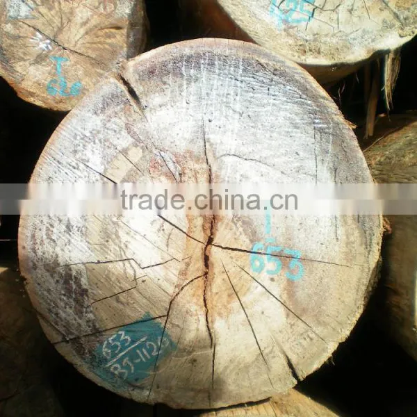 High Quality Comperative Price Laos Keruing Logs photo-3