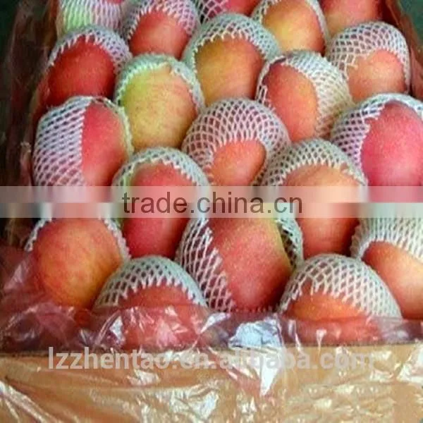 Fruit And Vegetable Packing Net photo-6