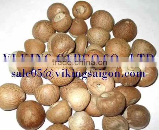 BEST PRICE_WHOLE BETEL NUT _FROM VIETNAM ! photo-2