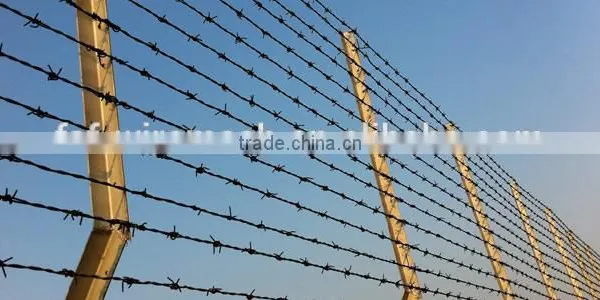 Anping Factory Low Price Barbed Wire photo-4
