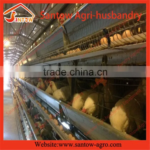 How to Build Stable Steel Structure Battery Cages for Chickens photo-2