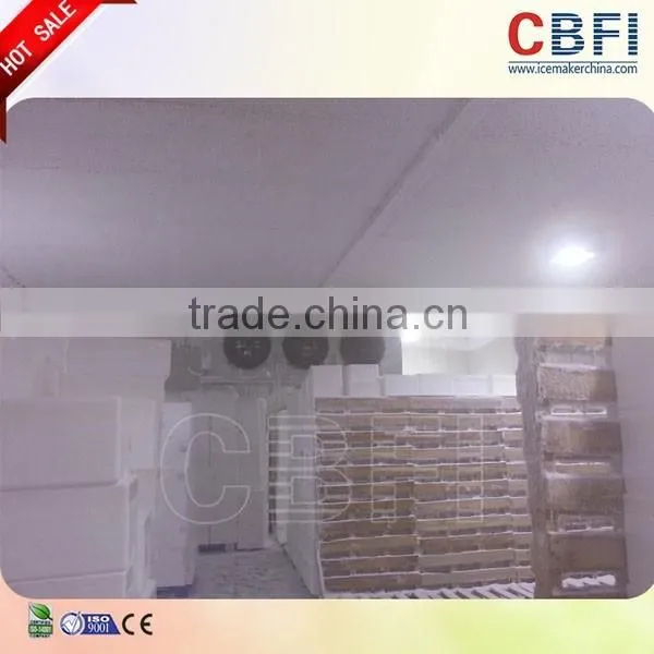 CBFI Cold Room for Fruits and Vegetables photo-6