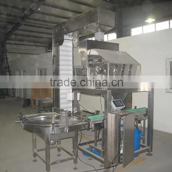 KG-2 Granule Filling Machine With 4 Head Electric Scale photo-2