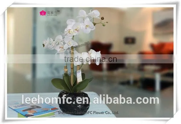 Plastic Flower Orchid Preserved Flower