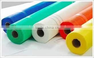 Fiberglass Mesh photo-2
