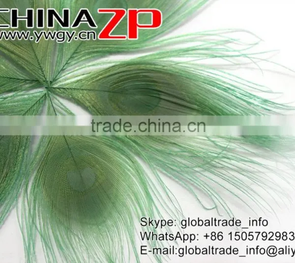 ZPDECOR Factory Bulk Sale Cheap Selling Dyed Mint Green Trimmed Short Peacock Feathers for DIY photo-3