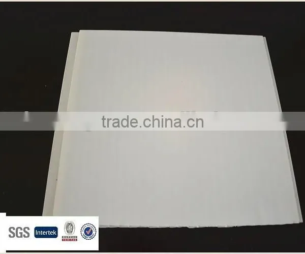 Pvc Transparent Ceilings photo-6