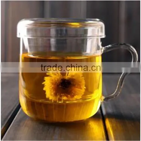 All Kinds of Tea Pot Mouth-blowing Heat Resistant Borosilicate Glass Tea Pot With Handle and Filter photo-4