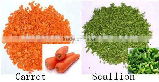 2016 Most Popular Dehydrated Vegetables Processor in the Market, 448channels With Capacity of 8-12 Tons per Hour photo-3