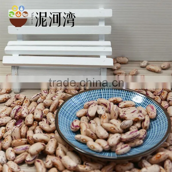 New CROP Light Speckled Kidney Bean 2016 Crop Hot Sale photo-6