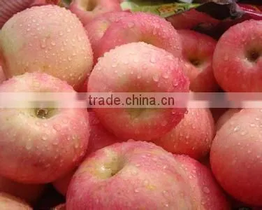 Chinese Fuji Apple photo-2