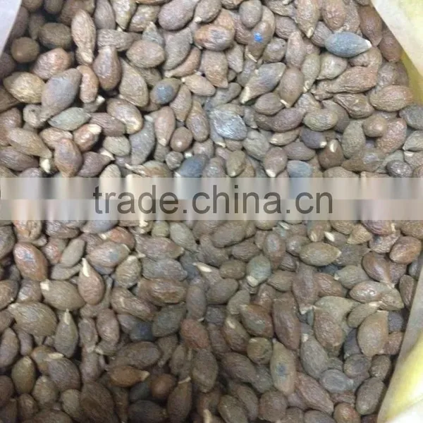Dried Malva Nut photo-3