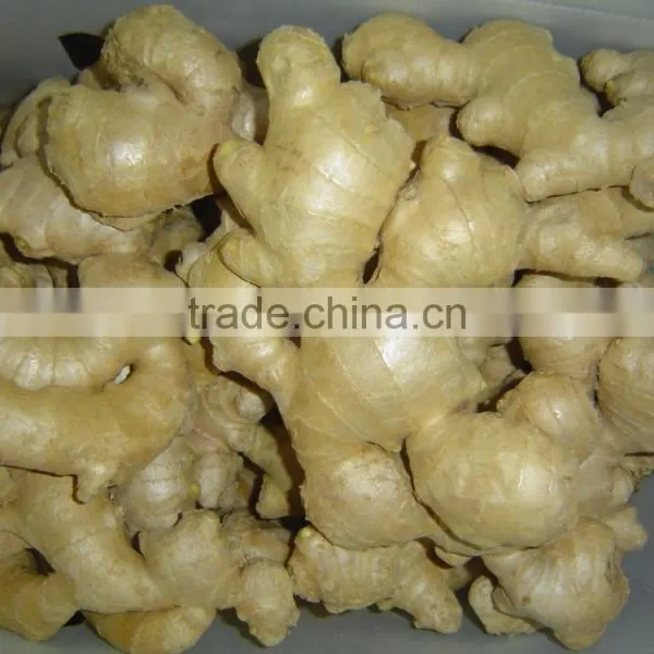 Fresh Ginger photo-6