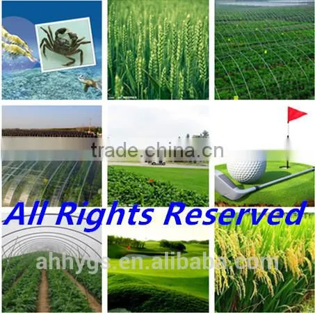 Tea Seed Meal/Cake/Powder for Aquaculture, Organic Fertilizer, Eco-pesticides, Etc. photo-6