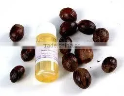 Nutmeg Oil photo-2