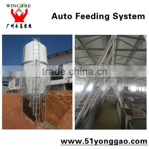 Auto Feeding System for Pig Farm photo-5