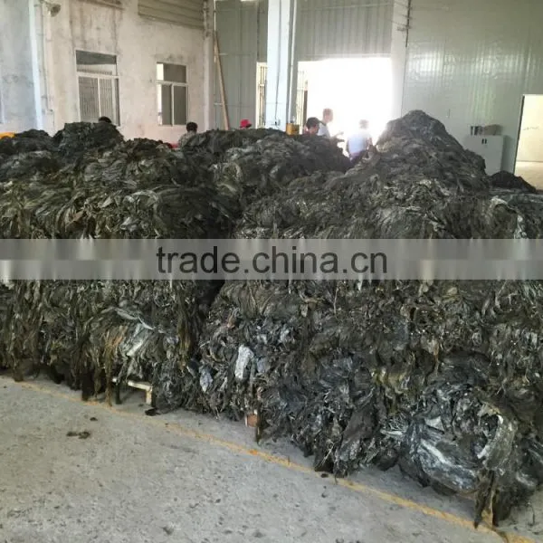 Natural Abalone Feed Dried Kelp Seaweed Raw Materials and Small Pieces photo-4