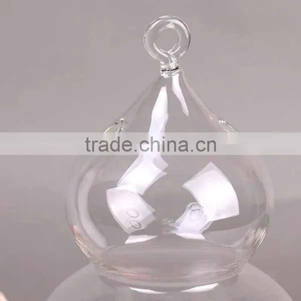 Micro Landscape Ecological Cucurbit Meaty Plant Glass Vase photo-2