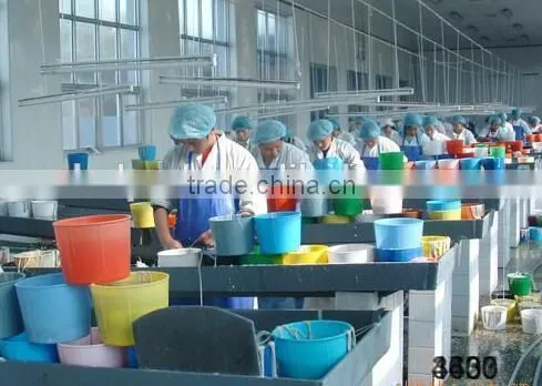 Sheep Hog Casing Meat Protein Forsausage Casing Sausage Casing photo-5