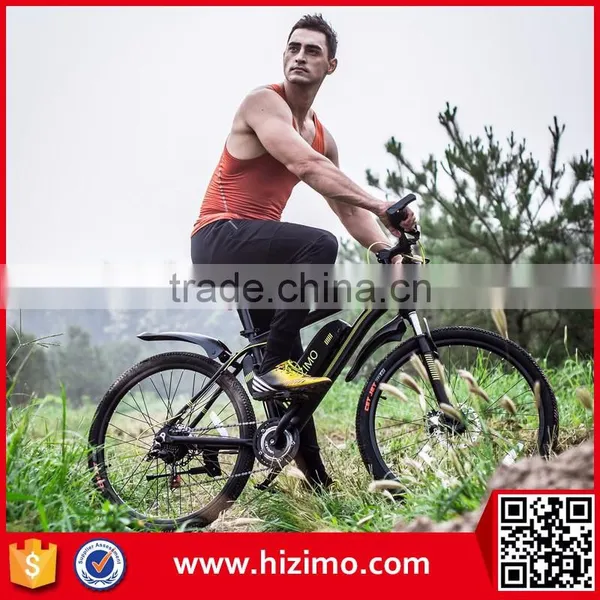 250w Best Electric Bicycle China photo-4