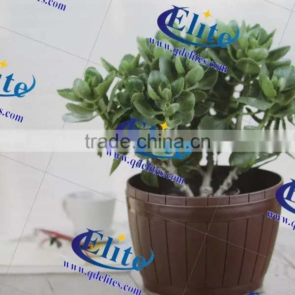 4 Mini Flower Pot Indoor/outdoor Flower Pot Color Flower Port photo-2