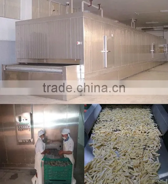 Automatic Frozen Fishball/Chicken Nuggets/Dumpling(Colonels Crispy Strips, Mcnugget, Chick Strip) Processing Line photo-3