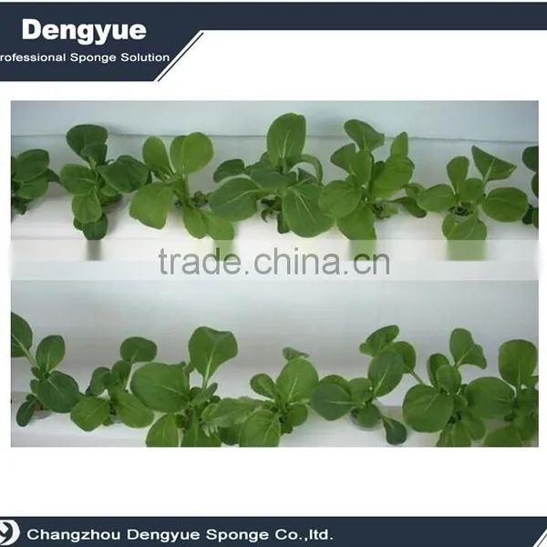 Agricultural Polyurethane High Densuty Foam Tray Seed photo-2