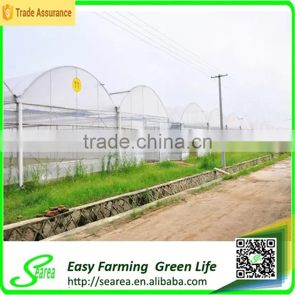 Grape Growing Agriculture Green House for Sale photo-5