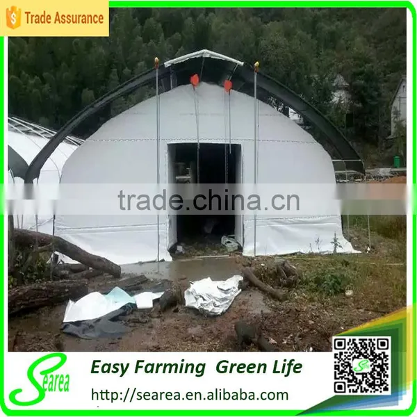 Farm Poultry Greenhouse Equipment for Sale photo-2