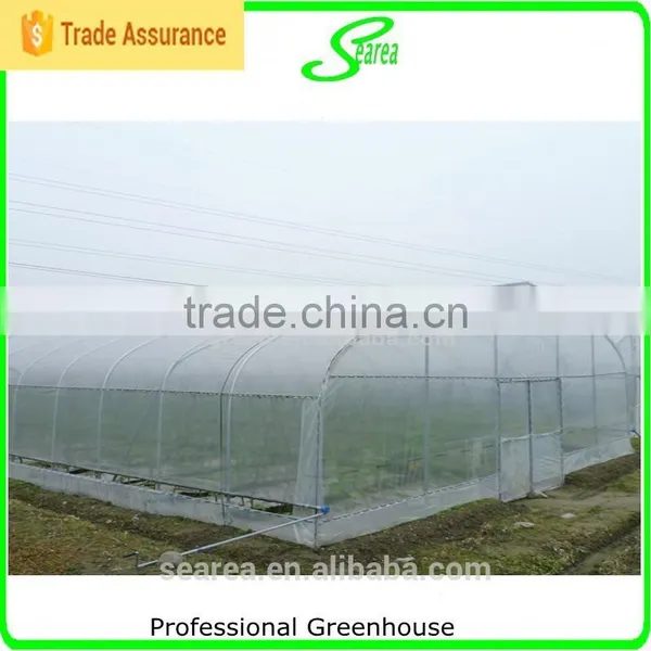 Single Span Commercial Used Greenhouse for Rose photo-2