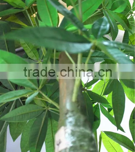 Home Garden Creepers Decoration 180cm Height Artificial Green Pachira Aquatica Tree EFCS05 2901 photo-2