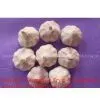 Normal White Garlic