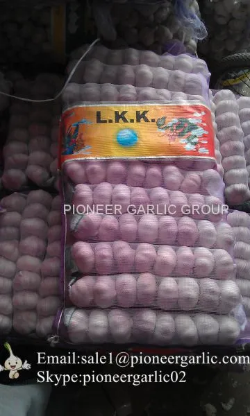 New Crop Fresh Jinxiang Normal White Garlic 5cm And Up In Mesh Bag Packing photo-4