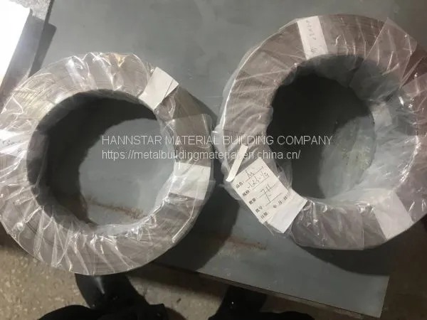 Nickel Strip/ Nickel Coil/Nickel Plate for Industrial Ni200(N6), Ni201(N4) Ni200 (Purity>99.9%) photo-2