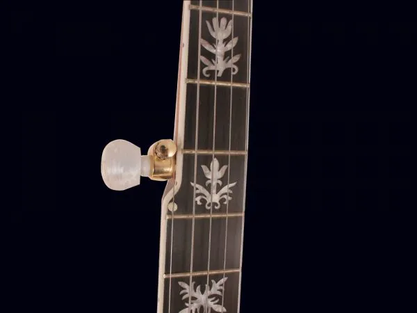 Banjo 22 Fret,5 String,Openback, Natural OEM Service High Grade FBJ-18 photo-4