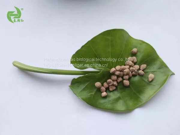 NPK SOP Base Based Water Soluble Fertilizer photo-5