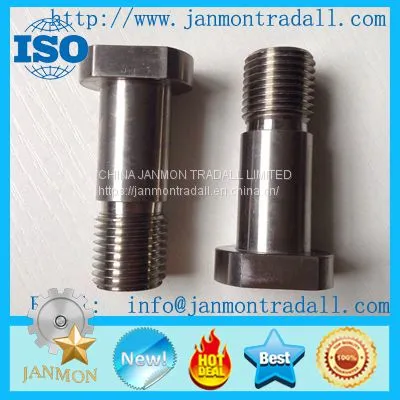 Customize--Supply Stainless Steel Bolt,Carbon Steel Bolt,High Tensile Steel Bolt,Mid-steel Bolt,T Head Bolt,Hex Head Bolt,Round Head Bolt,Square Head Bolt,Special Head Bolt,Zinc Galvanized Bolt,Black Oxide Bolt. photo-5