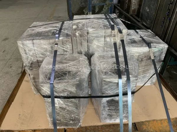 OEM Plastic Mould/Molding Service Maker Plastic Injection Mold photo-4