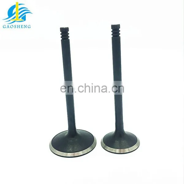 Chery Tiggo T11 T15 J11 SQR481FA qq Car Spare Parts Intake Exhaust Engine Valves photo-3