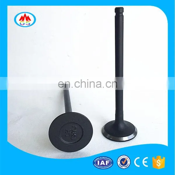 Car Engine Parts Engine Valve for Kiaa Picanto Morning Rio Pride photo-4