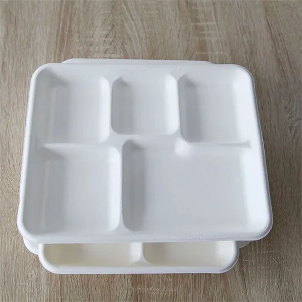 Organic Biodegradable 5 Compartment Food Tray photo-2