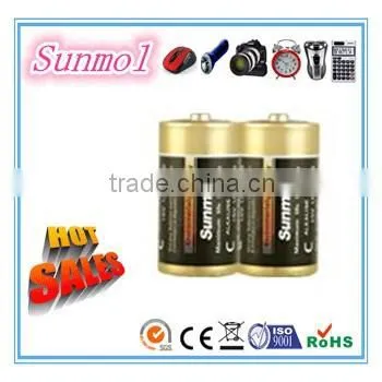 Alkaline LR20 D Best Alkaline Battery photo-2