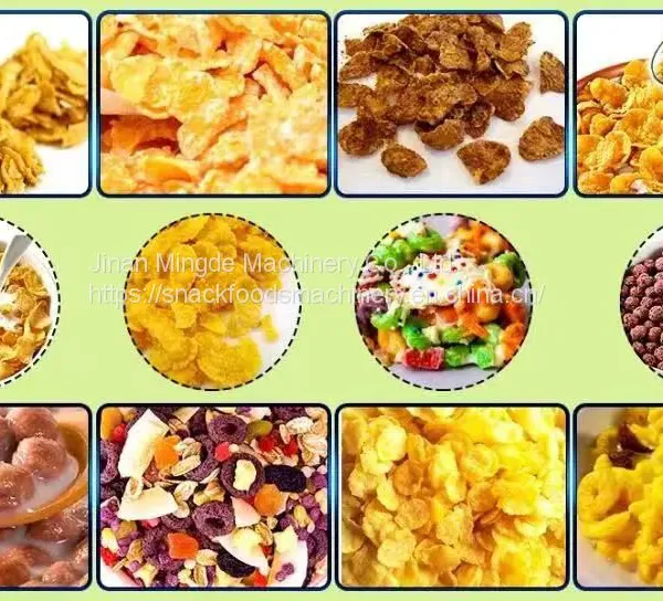 2024 Popular Twin Screw Extruder Corn Flakes Extruding Making Machine Breakfast Cereal Corn Flakes Production Line photo-4
