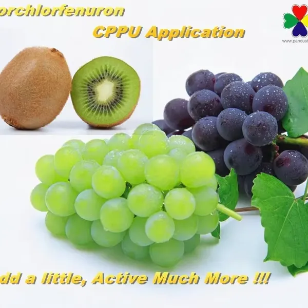 Plant Hormone Cppu Forchlorfenuron 1%sp for Grape photo-2