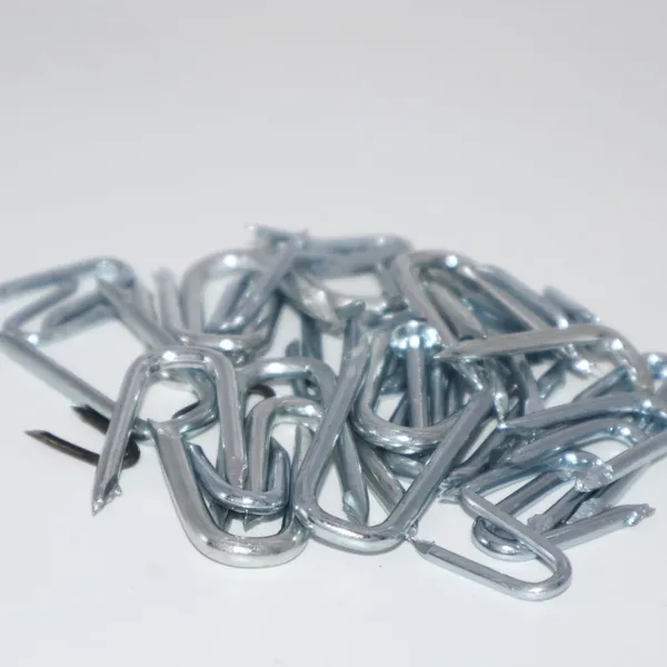 Heavy Duty U Shaped Nails 50mmx5mm Dia Galvanized for Outdoor Applications photo-4