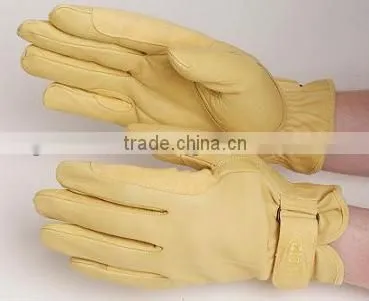 Horse Riding Gloves