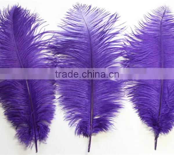 14"-16" Wholesale Purple Ostrich Feather Fabric For Ostrich Feather Fan Decoration photo-3
