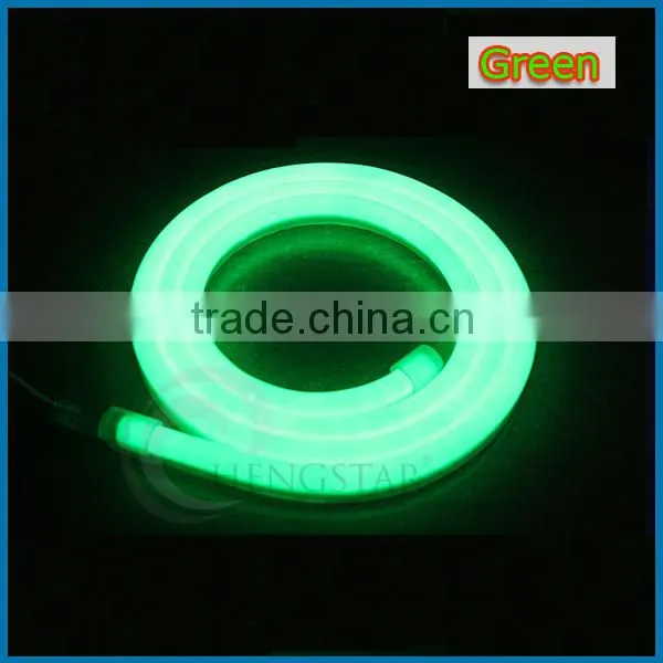 5M 300LEDs 24V 12V LED Neon Flex Digital Programmable RGB Neon LED Strip photo-5